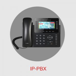 IP1