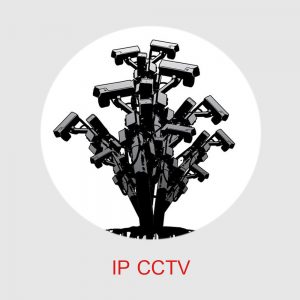 IP11