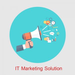 IT11