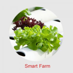 SFarm11